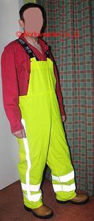 IMG 0179