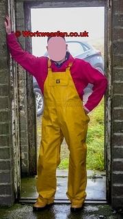 IMG 2740