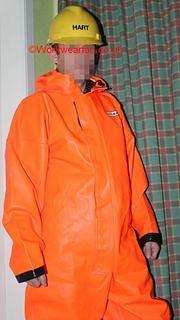 IMG 0239