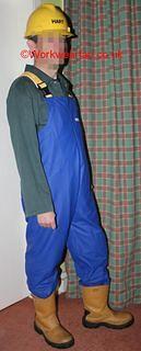 IMG 0261