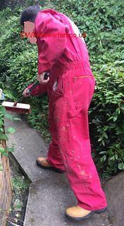 IMG 1385