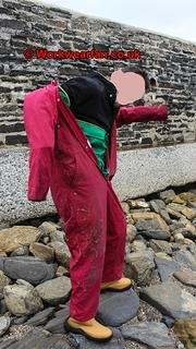 IMG 2902