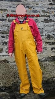 IMG 3147