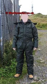 IMG 3603