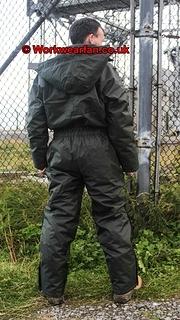 IMG 3615