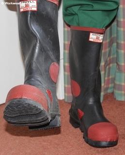 IMG 4557