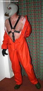 IMG 4774