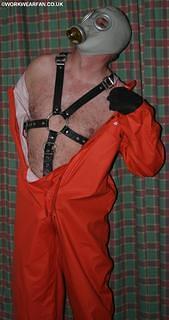 IMG 4775