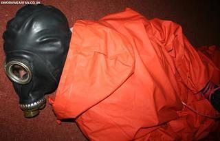 IMG 4541