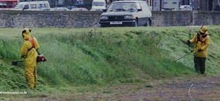 WATR0196