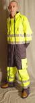 BSUITHIVYELLOWGREY01 (M)