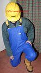 IMG 0262