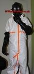 IMG 4291