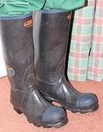 IMG 4548