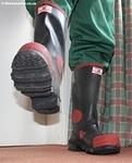 IMG 4561