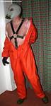 IMG 4774