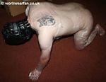 IMG 2635 001
