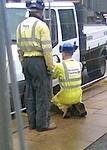 Boilersuit - HiVis Yellow