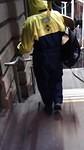 IMG 7243