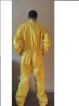 02Yellow002