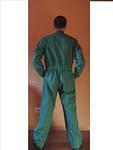 05Green002